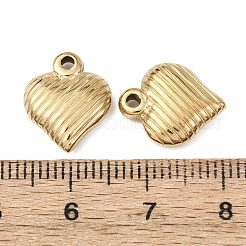 304 Stainless Steel Charms&nbsp;STAS-I358-02G