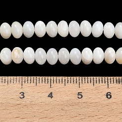 天然淡水シェルビーズ連売り  ロンデル  ゴーストホワイト  6x4mm  穴：0.5mm  約97個/連  15.43インチ（39.2cm）&nbsp;SHEL-C010-04A-02