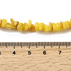 天然淡水シェルビーズ  染め  ナゲット  きいろ  4.5~9x4.5~7x1.5~5mm  穴：0.8mm  約163~165個/連  14.88~15.08''（37.8~38.3センチメートル）&nbsp;SHEL-B003-01A
