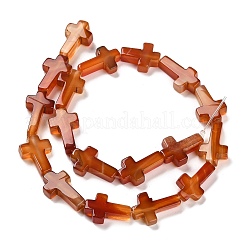 天然赤瑪瑙（染色・加熱）ビーズ連売り  クロス  20.5x12.5x4.5mm  穴：1mm  約19個/連  15.55''（39.5センチメートル）&nbsp;G-I337-A02-01