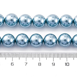 Shell Pearl Beads Strands&nbsp;BSHE-K015-10mm-02