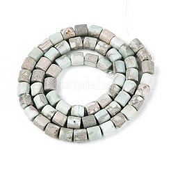 Natural Variscite Beads Strands&nbsp;G-T141-96A