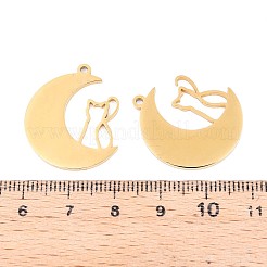 304 Stainless Steel Pendants&nbsp;STAS-N108-31G