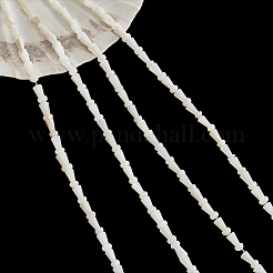 4 Strands Natural Freshwater Shell Beads Strands&nbsp;SHEL-NB0001-52