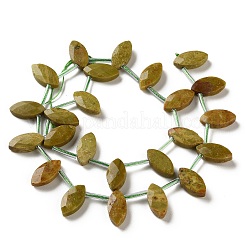 Natural Green Opal Beads Strands&nbsp;G-P607-A08-01