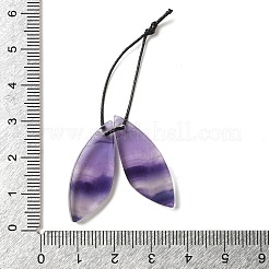 天然蛍石ペンダント2個  宝石 チャーム  ウイング  29.5x11x3.5mm  穴：1mm&nbsp;G-Z064-01E