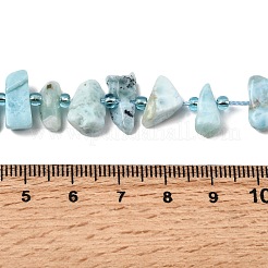 Natural Larimar Beads Strands&nbsp;G-L649-A08-01