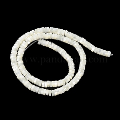 Natural Trochus Shell Beads Strands&nbsp;BSHE-E030-09A-01