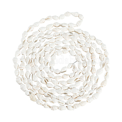 2 Strands Natural Trumpet Shell Beads Strands&nbsp;SHEL-LT0001-01