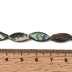 Natural Abalone Shell Paua Shell Beads Strands&nbsp;SH-CBA69D1-01