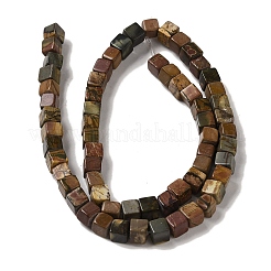 Natural Picasso Jasper Beads Strands&nbsp;G-Q161-C01-02