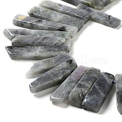 Natural Labradorite Beads Strands&nbsp;G-L551B-06