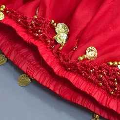 スパンデックススカート  鉄のチャーム付き  パーティーのために  ベリーダンス  衣服の装飾  レッド  880x295x8mm&nbsp;AJEW-WH0709-264B
