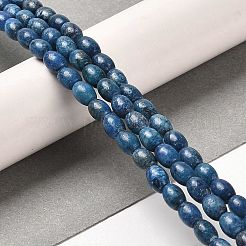 天然ドロマイトビーズ連売り  染め  ライス  スチールブルー  5.5~6x4.5mm  穴：1mm  約68~69個/連  15.94~16.22インチ（40.5~41.2cm）&nbsp;G-F765-A03-01