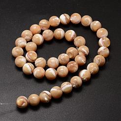 Natural Sea Shell Beads Strands&nbsp;SSHEL-K013-10mm-B
