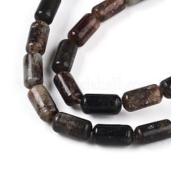 Natural Biotite Beads Strands&nbsp;G-N346-01A-02