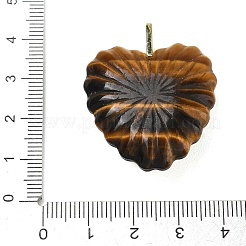 Natural Tiger Eye Carved Pendants&nbsp;G-C276-01G-11