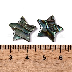 Natural Paua Shell Epoxy Resin Cabochons&nbsp;SSHEL-S279-01F