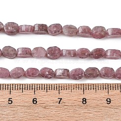 Natural Lepidolite/Purple Mica Stone Beads Strands&nbsp;G-H343-A01-01