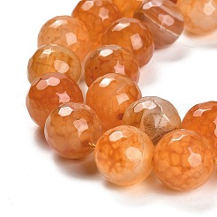 Natural Agate Beads Strands&nbsp;G-L595-A01-01B
