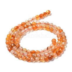 天然石瑪瑙ビーズ連売り  多面カットラウンド  染め＆加熱  サンゴ  3.7~4x3.9~4.3mm  穴：0.8mm  約89~93個/連  13.98''（35.5センチメートル）&nbsp;G-Q1000-02F