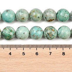 Natural Peruvian Turquoise(Jasper) Beads Strands&nbsp;G-F836-A02-10mm