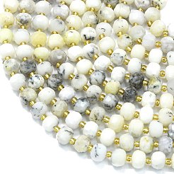 Natural White African Opal Beads Strands&nbsp;G-K389-E36-01