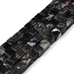 Natural Black Netstone Beads Strands&nbsp;G-T139-6x6-24A