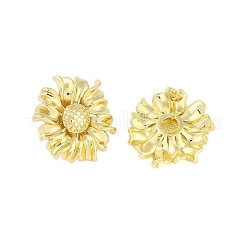 Brass Earring for Women&nbsp;EJEW-M259-03G