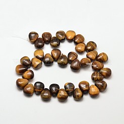 ナチュラルタイガーアイティアドロップビーズ  18x15x10mm  穴：1mm&nbsp;G-P094-03