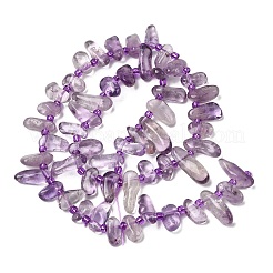 Natural Amethyst Beads Strands&nbsp;G-L649-D05-02