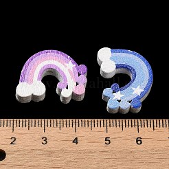 ウッドビーズ  レインボー  ミックスカラー  17x22x5mm  穴：1.8mm&nbsp;WOOD-C006-08