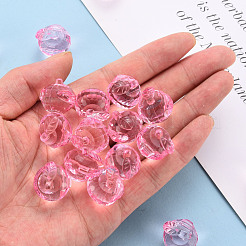 Transparent Acrylic Pendants&nbsp;TACR-T024-05B-903
