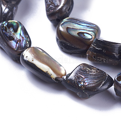 天然アワビシェル/パウアシェルビーズ連売り  ナゲット  10~19x9~14x5~8mm  穴：1mm  約28~30個/連  15.7~15.9インチ（40~40.5cm）&nbsp;SSHEL-F303-08B