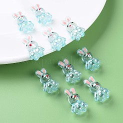 Transparent Acrylic Beads&nbsp;LS-MACR-S373-81-Q03