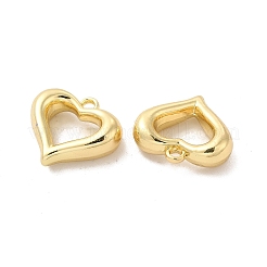 Alloy Pendants&nbsp;PALLOY-E024-24LG