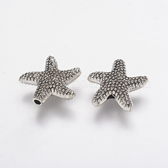 Tibetan Style Alloy Beads&nbsp;PALLOY-F202-22AS