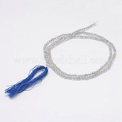 Natural Labradorite Beads Strands&nbsp;G-E347-14
