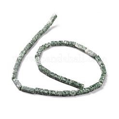 Natural Green Spot Jasper Beads Strands&nbsp;G-G837-24