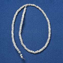 天然ニシキウズガイシェルビーズ連売り  ラウンド  フローラルホワイト  4~4.5x4mm  穴：0.5mm  約91~93個/連  15.35~15.55''（39~39.5センチメートル）&nbsp;SSHEL-H072-13B