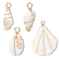 24Pcs 4 Styles Mixed Natural Shell Pendants&nbsp;FIND-SC0015-67