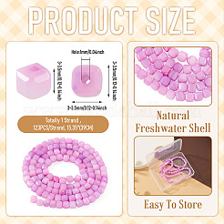 1 Strand Natural Freshwater Shell Dyed Beads Strands&nbsp;SHEL-TA0001-44B
