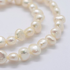 Natural Cultured Freshwater Pearl Beads Strands&nbsp;PEAR-K004-13C