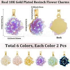 12色UVメッキ真鍮ペンダント6個  花  樹脂と  虹色の  ラックめっき  長持ちメッキ  鉛フリー＆カドミウムフリー  18KGP本金メッキ  ミックスカラー  18x16x8mm  穴：5x2mm  2個/カラー&nbsp;KK-BBC0018-81