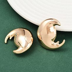Brass Stud Earrings&nbsp;EJEW-H168-13G