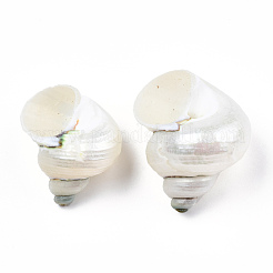 天然スパイラルシェルビーズ  穴がない  シェル  21~29x21~29x17~25mm&nbsp;SSHEL-N034-126