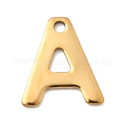 304 Stainless Steel Charms&nbsp;STAS-B093-12G