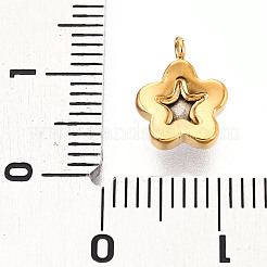 304 Stainless Steel Charms&nbsp;STAS-N112-02A-G