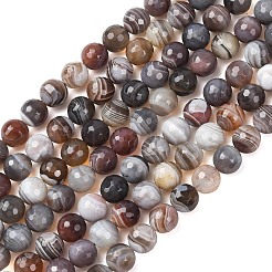 Natural Botswana Agate Beads Strands&nbsp;G-G453-B01-8mm