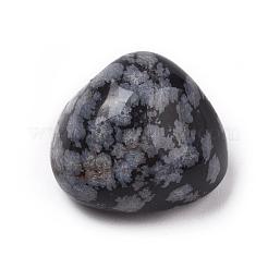 5Pcs Natural Snowflake Obsidian Beads&nbsp;G-FS0002-02